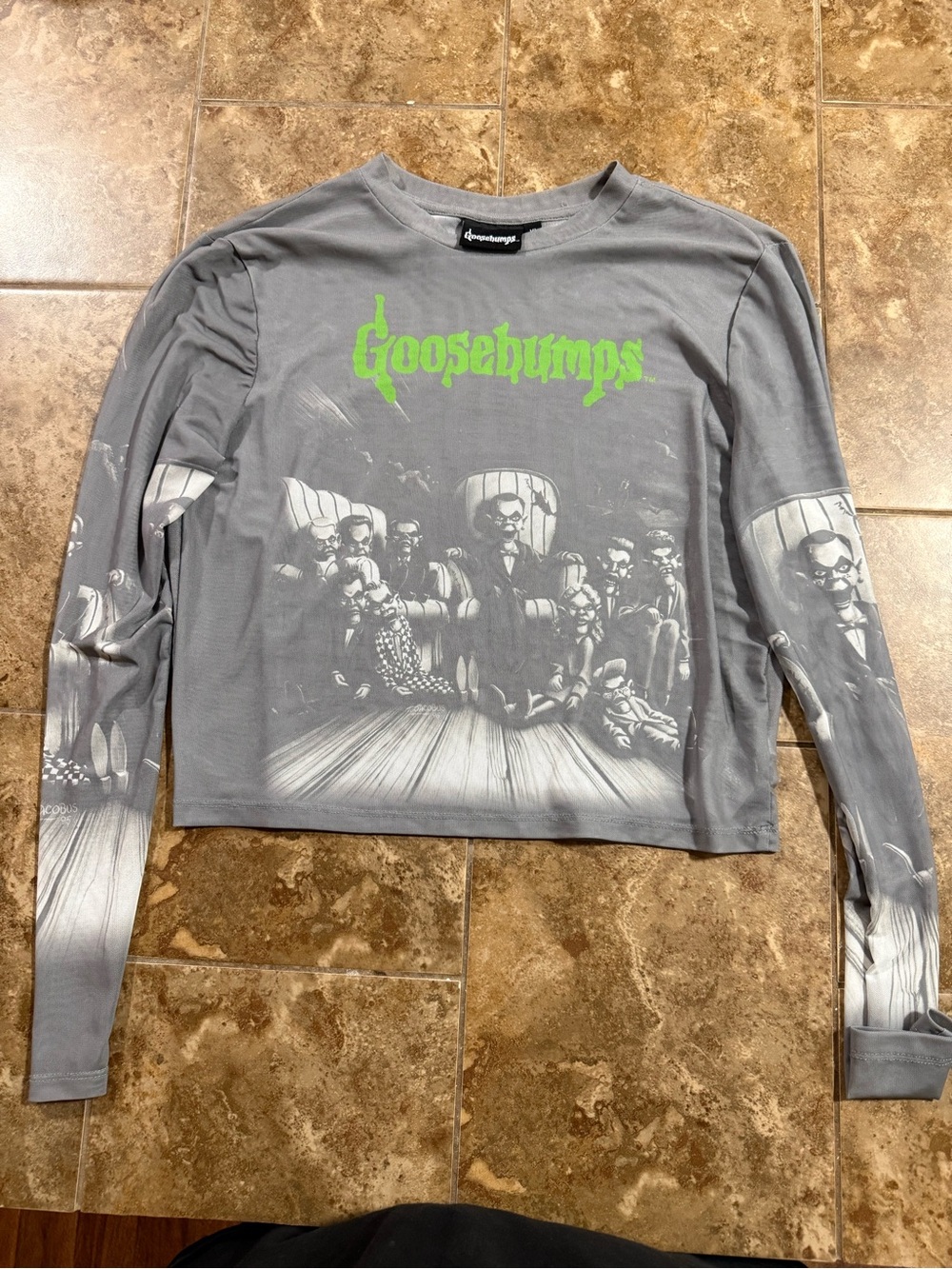Goosebumps Gray Graphic Long-Sleeve Tee See Thru Crop Style